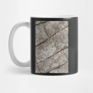 Granite Stone Pattern Texture #15 Mug